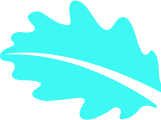 ddos测压网站